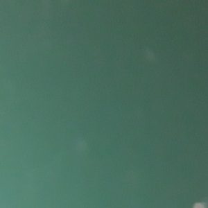 Гладкий лист 0,45 мм RAL 6005 Алюцинкований із полімерним покриттям